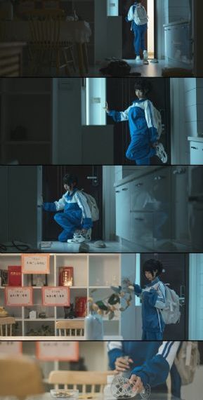 朴银狐嫂子的职业