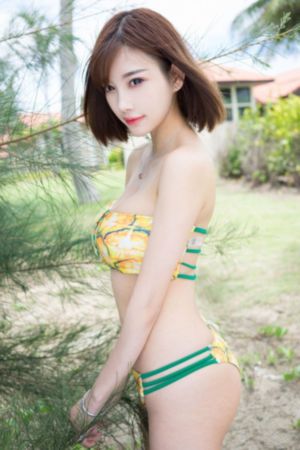 锦绣南歌在线全集免费观看
